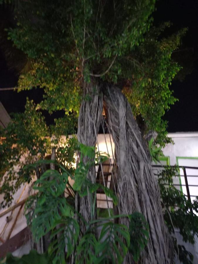 Mundo Maya Tulum Exteriör bild